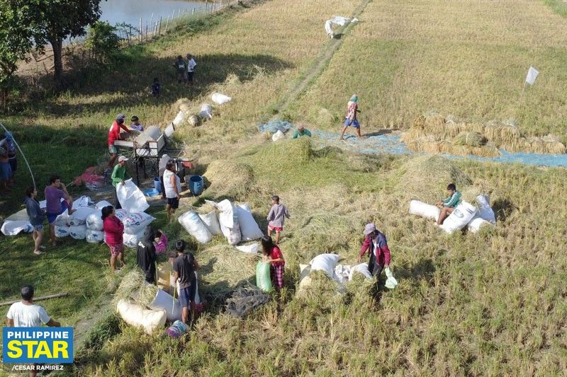 Study legality of food security emergency Â­â group