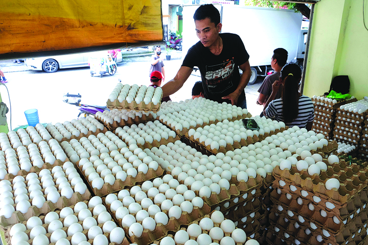 Amid DA warning, group says no egg shortage